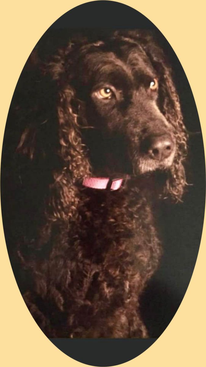 Milo
