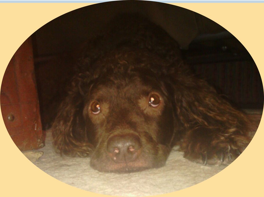 Tilly