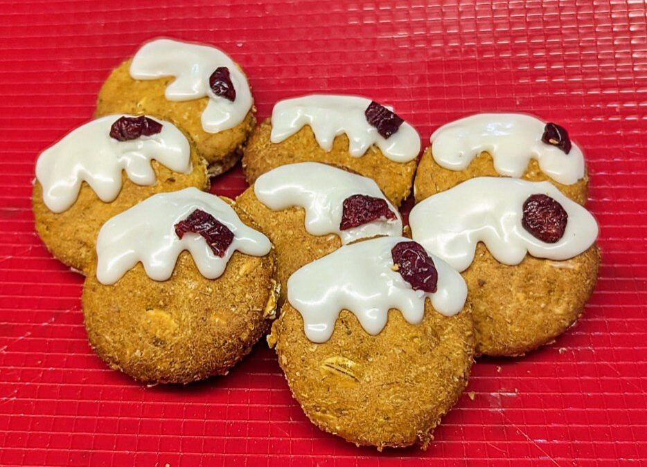 Christmas Pudding Dog Treats