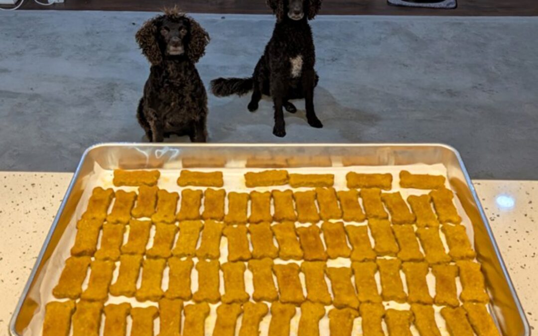 Pumpkin and Herb Dog Treats