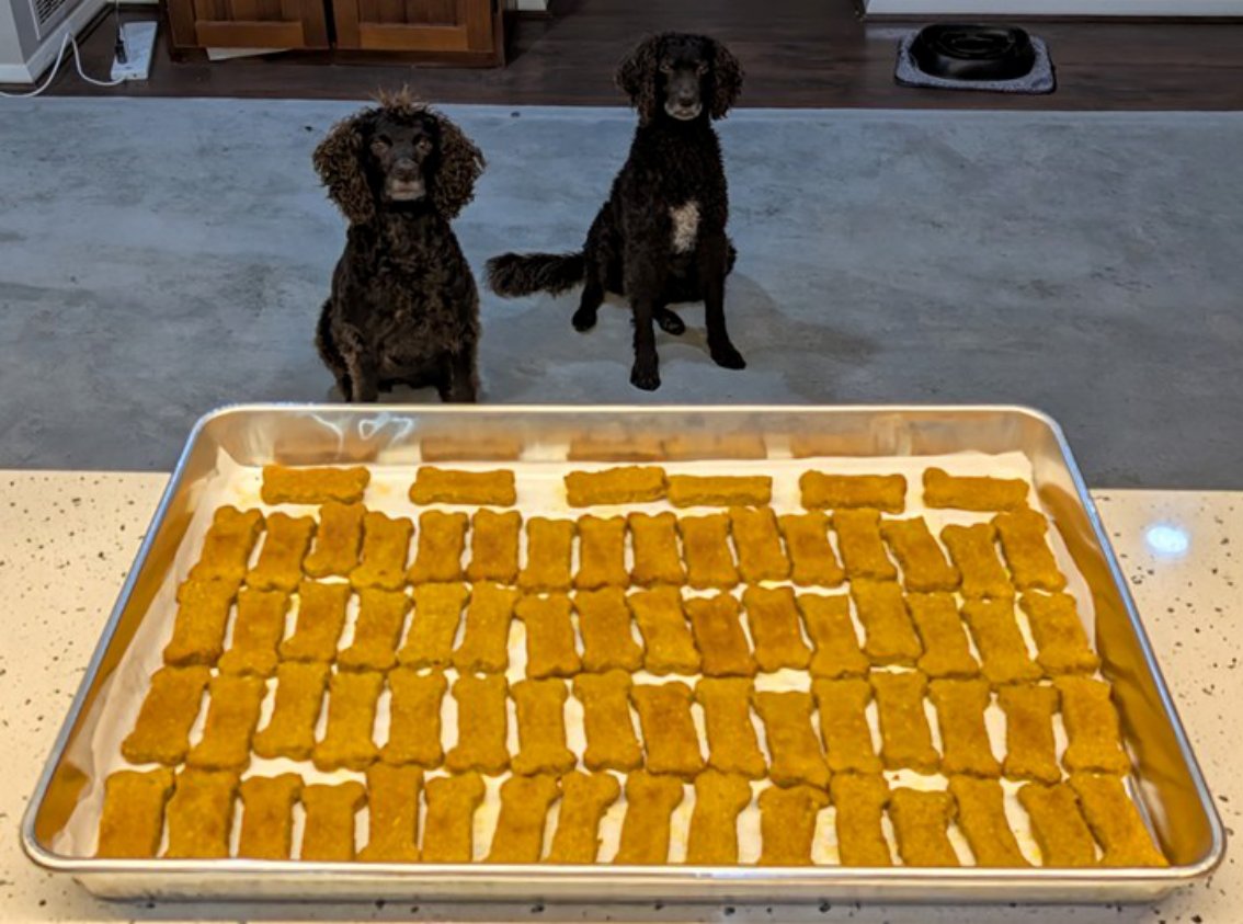 Pumpkin and herb dog treats on a tray