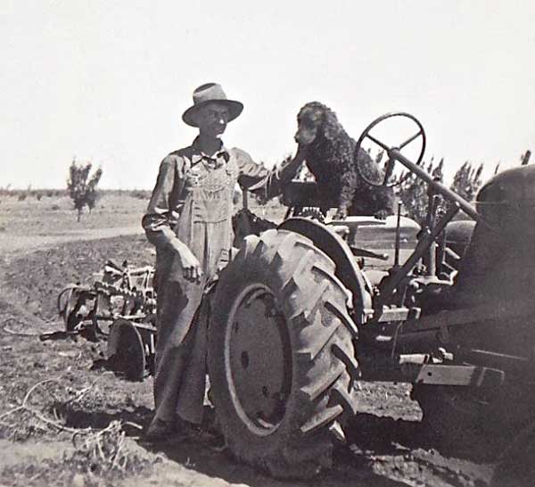 Robinvale-1949-Murray-River-Retreivers Robinvale 1949