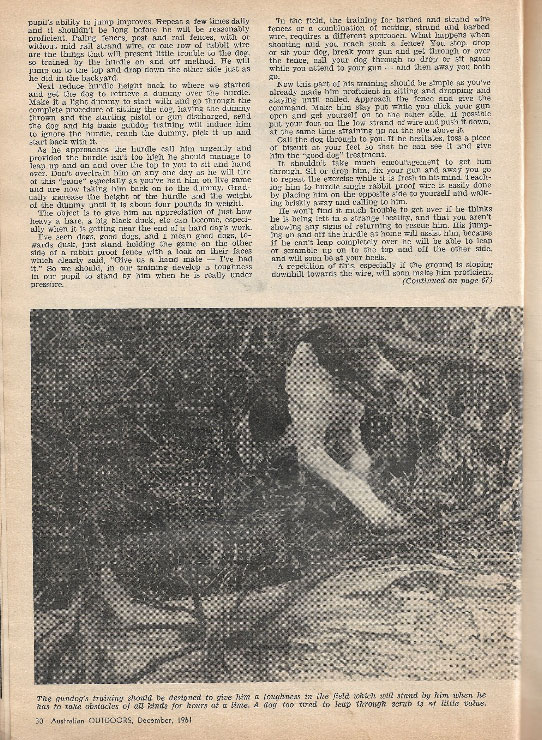 Over the Jumps by Roy Burnell, continued
