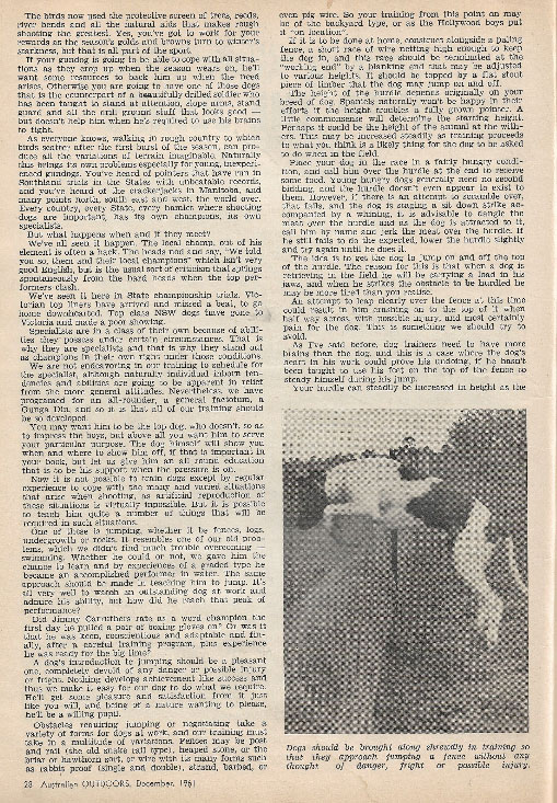 Over the Jumps by Roy Burnell, continued