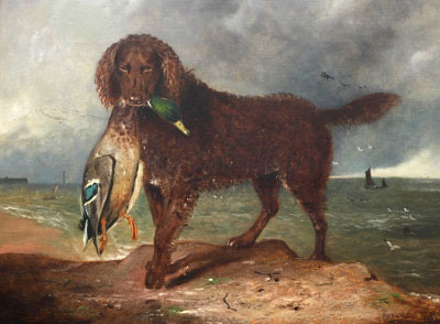 Tweed Water Spaniel - BB Wadham 1855 Tweed Water Spaniel - BB Wadham 1855