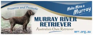 MRRA car sticker: Make Mine a Murray, Murray River Retriever, Australia's Own Retriever