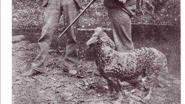 A very familiar four-legged friend from the good old days along the Murray.